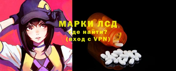 ECSTASY Богородицк