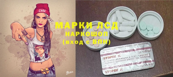 ECSTASY Богородицк